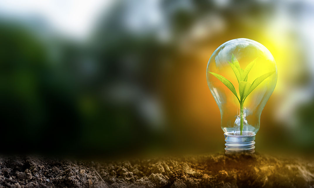 Plant growing in light bulb image courtesy of Adobe Stock.