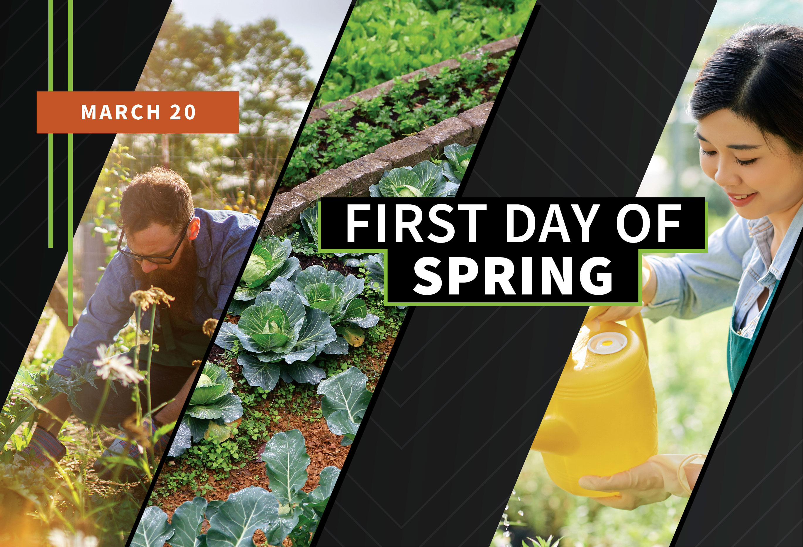 First Day of Spring. Images courtesy of AdobeStock
