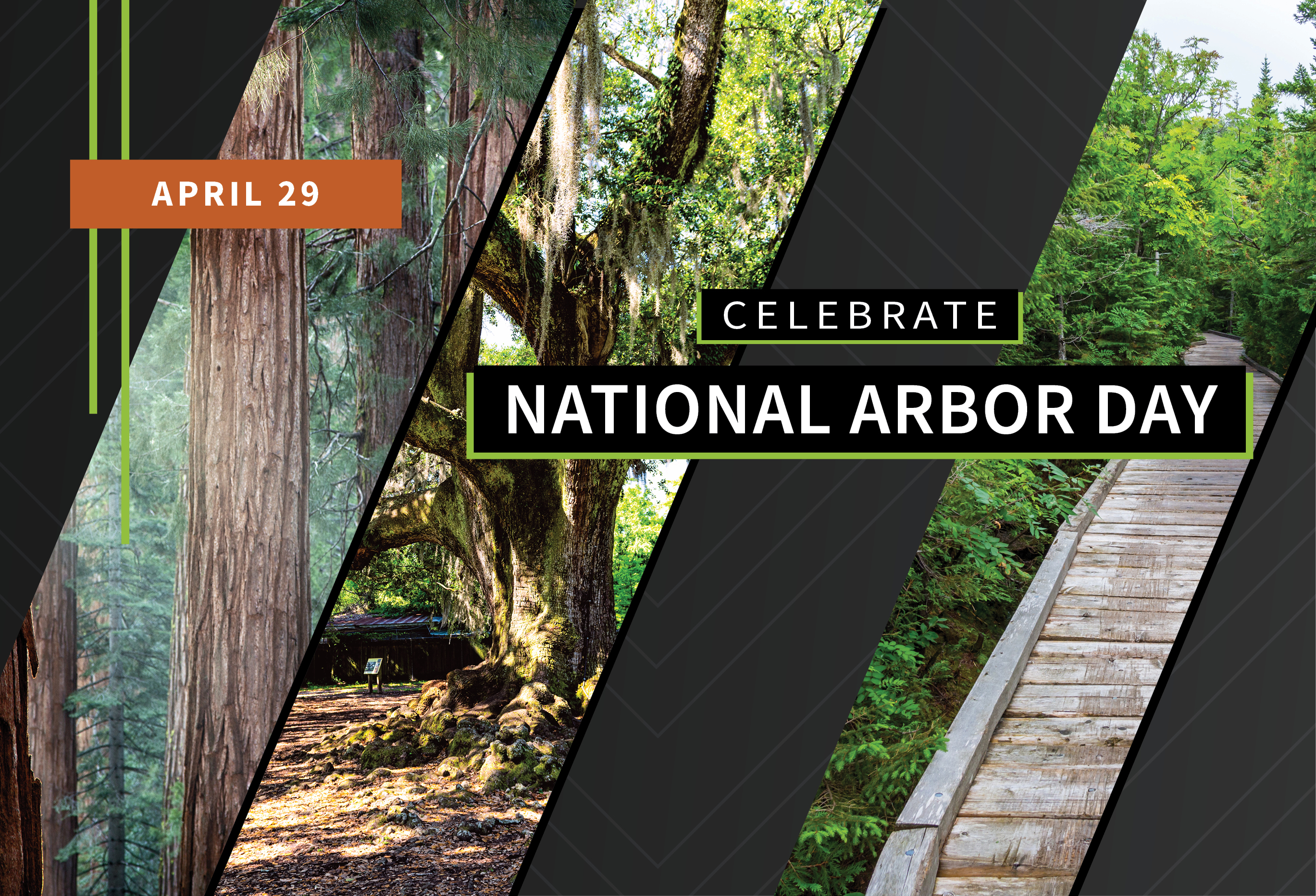 National Arbor Day May 2, 2022