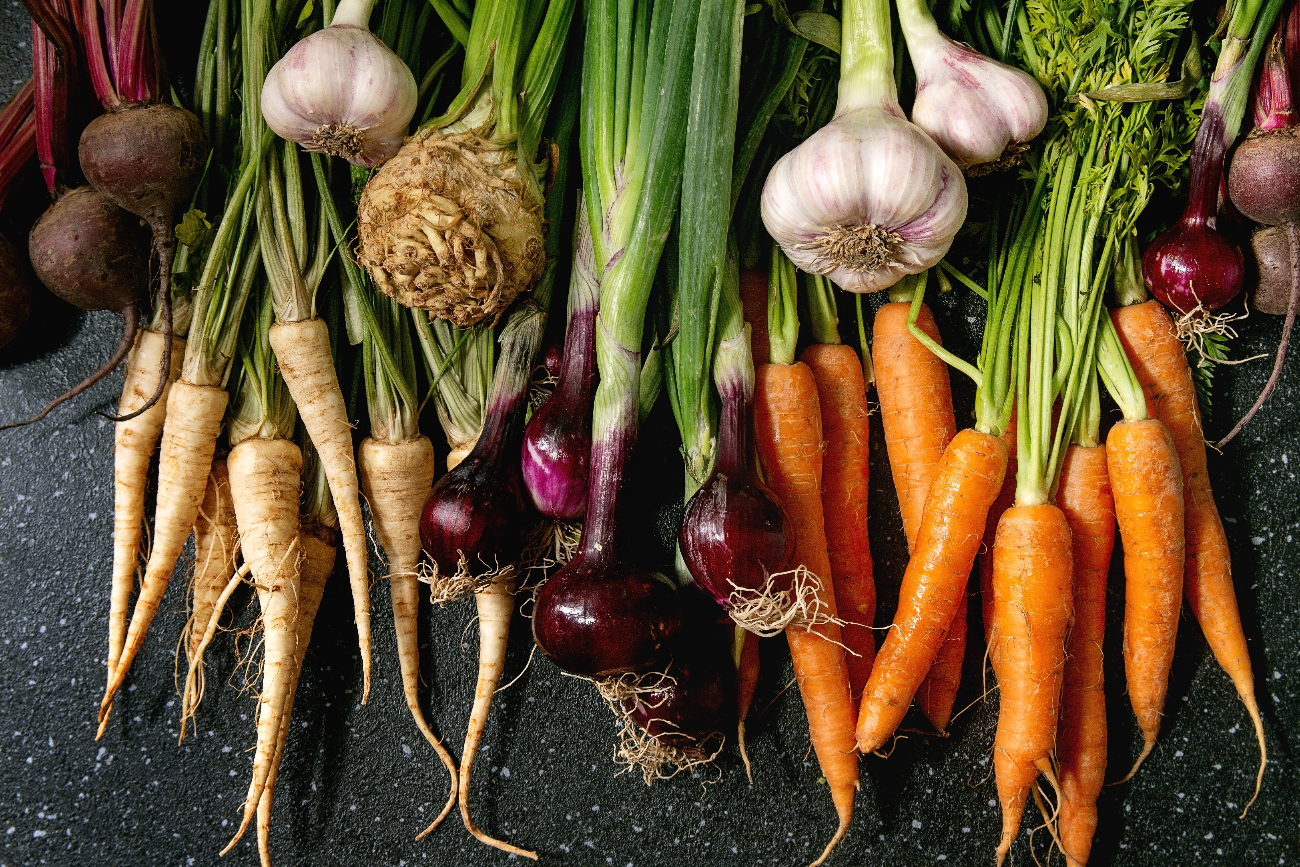 Variety of root garden vegetables such as carrot, garlic, purple onion, beetroot, parsnip and celery with tops over black texture background. Image courtesy of Adobe Stock. 