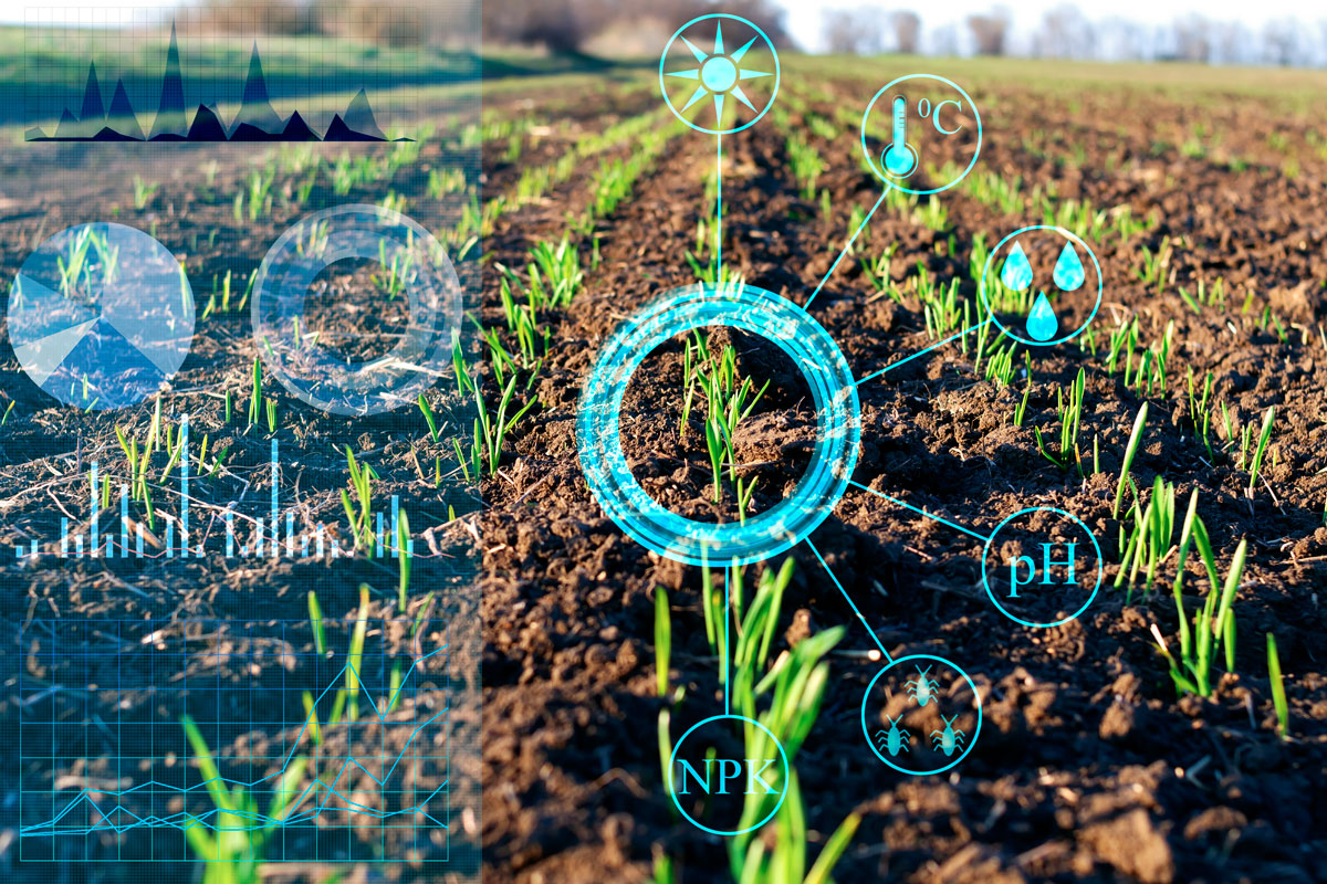 image of data illustrations around crops in field courtesy of AdobeStock