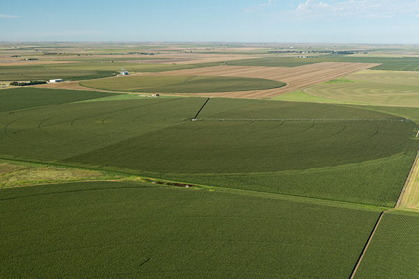 Aerial view of irrigated and non-irrigated fields in eastern Colorado. Photo by Bill Cotton, Colorado State University. 
