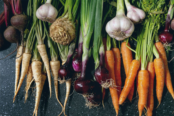 image of root vegetables courtesy of Adobe Stock