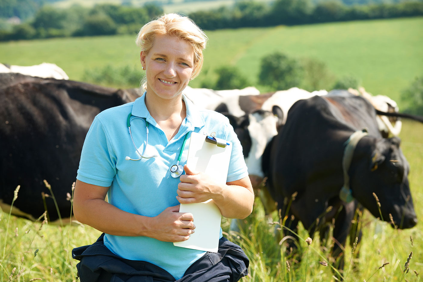 Women vet caring for cows