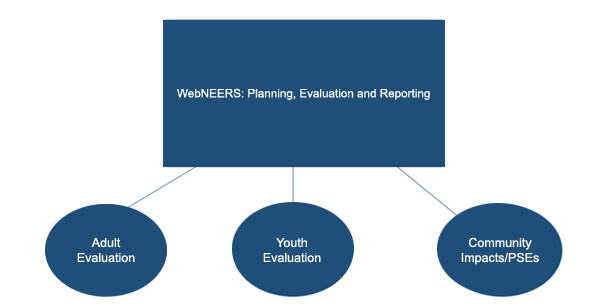 Diagram showing WebNEERS: Planning, Evaluation, and Reporting. The diagram shows that there are three programs under WebNEERS. Those programs are: Adult Evaluation, Youth Evaluation, and Community Impacts.