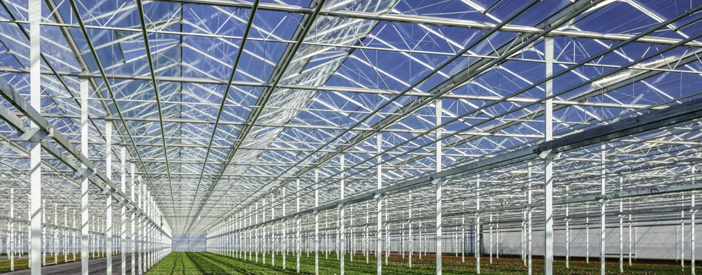 Structure of greenhouse. Image courtesy of Getty Images.