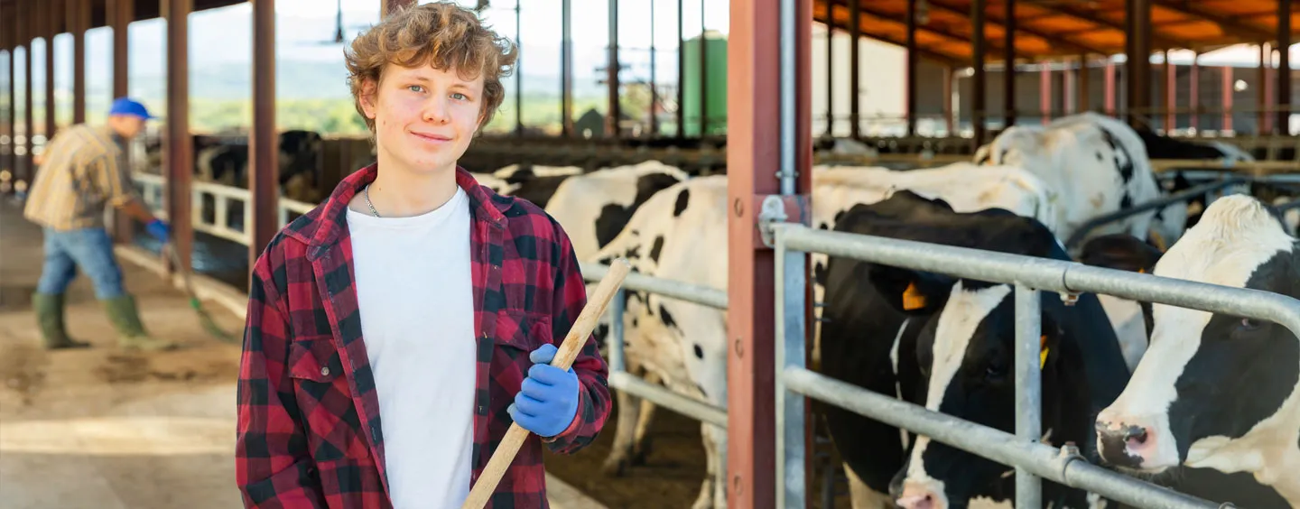 Image of teen boy working in dairy farm, courtesy of Adobe Stock