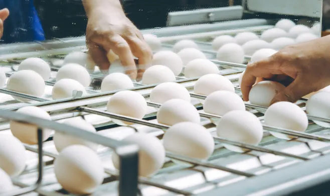 Image of egg production processing, courtesy of Adobe Stock