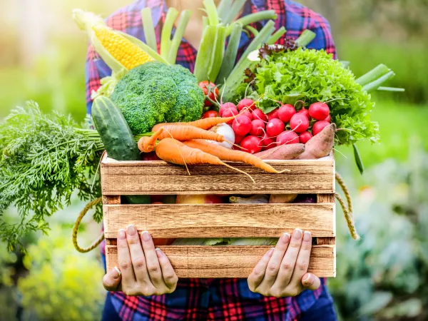 Farmer woman holding fresh vegetables