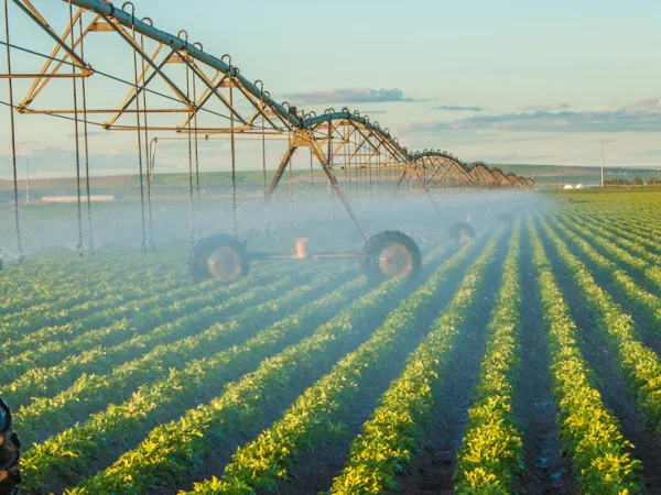 Image of field irrigation courtesy of Adobe Stock