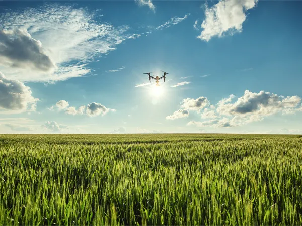 Drone flying in wheat field. Image courtesy of Getty Images.