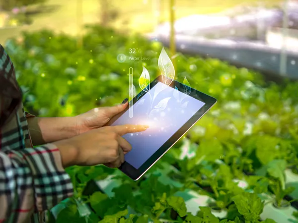 Person holds a tablet with data visualizations over a bed of plants. Image courtesy of Adobe Stock.