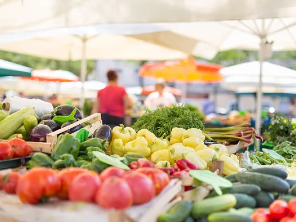 Farmers' food market stall with variety of organic vegetable. Image courtesy of Adobe Stock. 