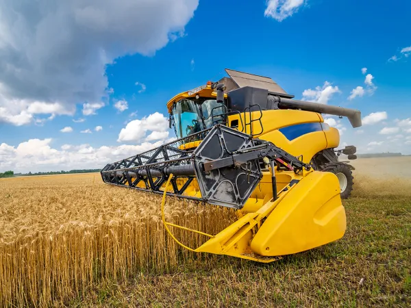 Mechanized farm equipment harvesting wheat in open field. Image courtesy of Adobe Stock.