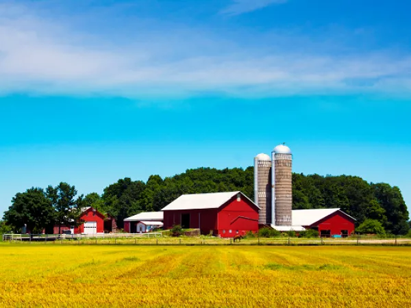 Farm scene with red barns and silos. Image courtesy of Adobe Stock. 