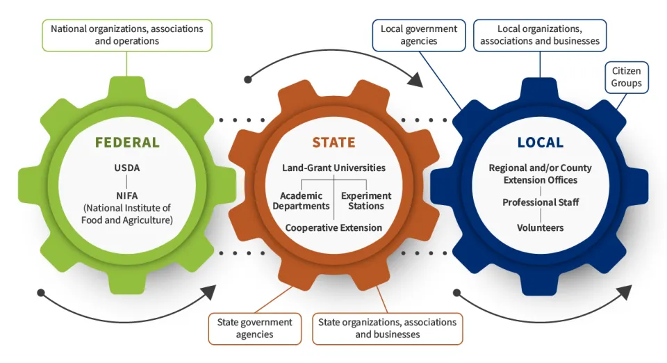Illustration of gears turning, depicting the interconnected nature of Federal, State, and Local systems.