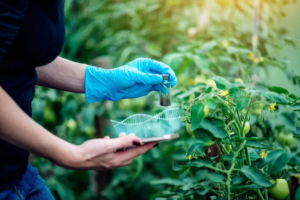 Woman scientist testing a greenhouse plant, courtesy of AdobeStock