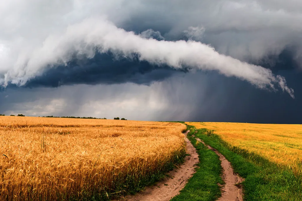 Image of a storm on the horizon courtesy of AdobeStock