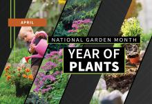 National garden month. Images courtesy of AdobeStock