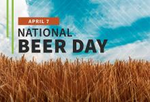 National Beer Day: image of barley field courtesy of AdobeStock