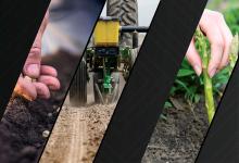 Collage of images - planting by hand and machine, courtesy of AdobeStock