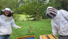 Bees swarm Dr. Judy Wu-Smart (left) and pay no attention to Luke Norris, technician, (right) as the two work with their hive. Image provided Dr. Wu-Smart. 