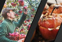 Left image of farmer picking an apple from a tree. Right image of baked apples. Courtesy of Adobe Stock. 