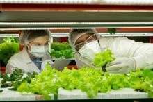 Man and woman examining produce in lab, courtesy of Adobe Stock