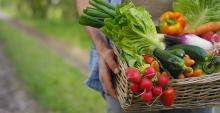 Farmer holding fresh vegetables in a basket. Courtesy of Adobe Stock. 
