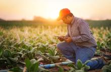 image of farmer working on irrigation using tablet, courtesy of Adobe Stock