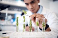 Image of student working in lab, courtesy of Adobe Stock