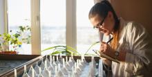 Grad student taking notes while viewing seedlings, courtesy of Adobe Stock