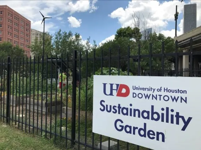 University of Houston sustainability garden